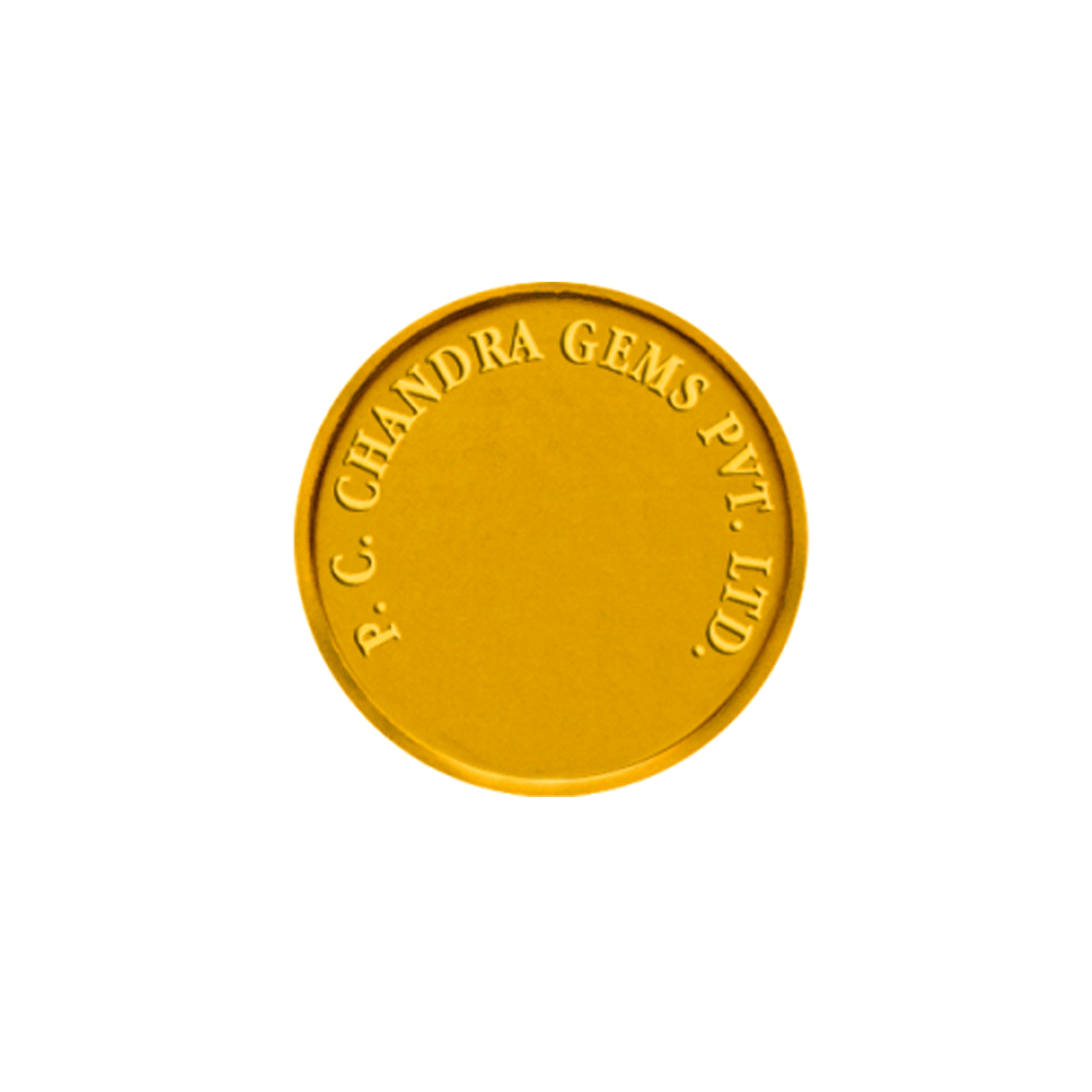 20 gm 24KT Yellow Gold Coin