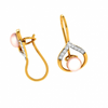 14KT (585) Yellow Gold Earring for Women