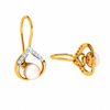 14KT (585) Yellow Gold Earring for Women