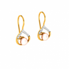 14KT (585) Yellow Gold Earring for Women