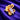 14KT Gold Butterfly Spark Nosepin
