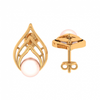 14KT (585) Yellow Gold Stud Earrings for Women