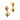 14KT (585) Yellow Gold Earrings for Women