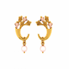 14KT (585) Yellow Gold Earrings for Women