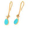 Delectable Hook Type Gold Drop Earrings