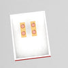 18K rectangle shaped gold earrings with two rose gold coloured dots