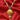 Nilanjari 22KT Gold Floral Drop Necklace for Women