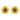 22k Beautiful Studs With Gold Petals And Elegant Design