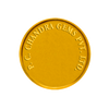 10 gm, 24KT (995) Gold Coin