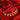 Rivessara Geometric Red Stone 22KT Gold Necklace and Earring Set for Women | 916 BIS Hallmarked