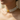 22KT (916) Pearl Gold Choker Necklace with Floral Centre and Dori Tassel