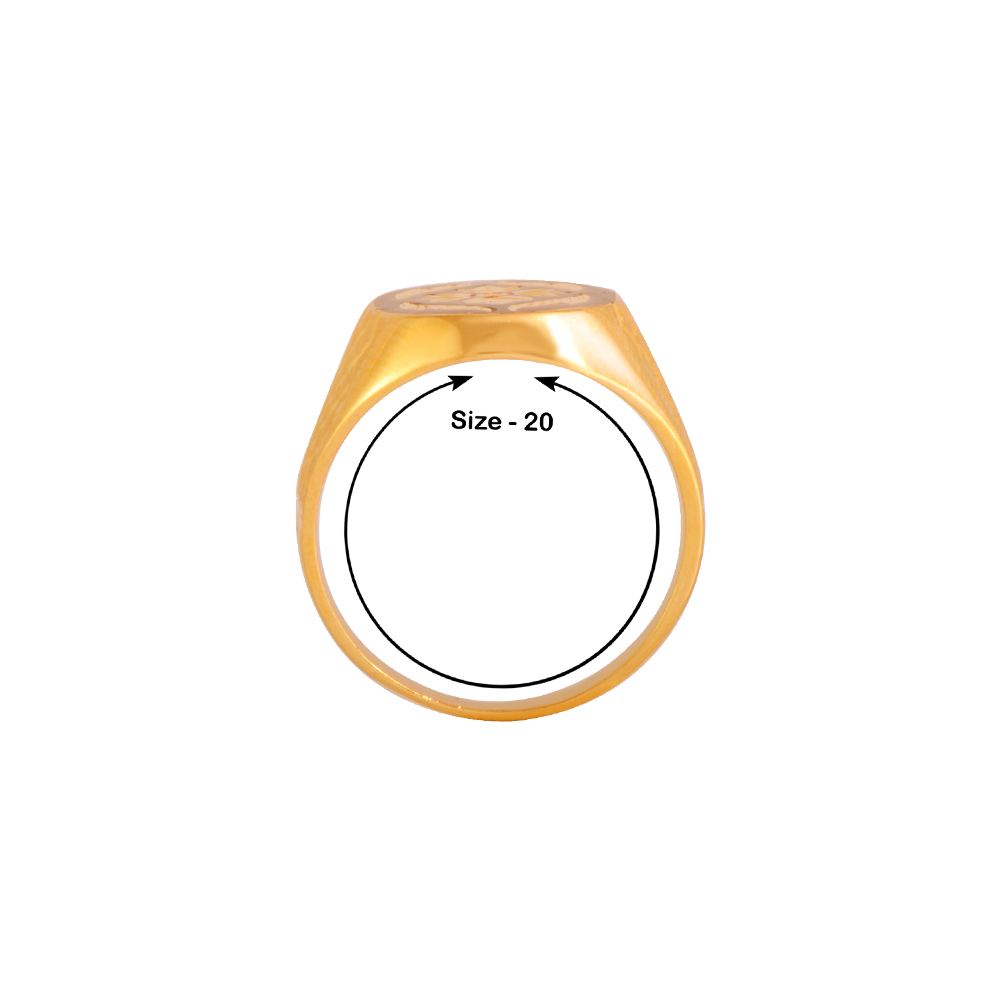 Gold Dust Signet Ring - Solid Gold Ring with Textured Surface – Liry's  Jewelry